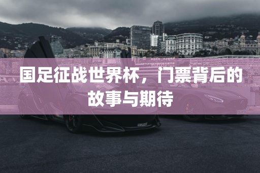 国足征战世界杯，门票背后的故事与期待