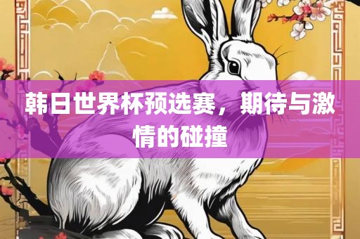 韩日世界杯预选赛，期待与激情的碰撞