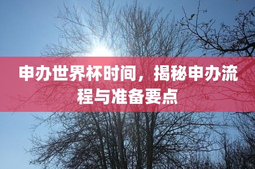 申办世界杯时间，揭秘申办流程与准备要点