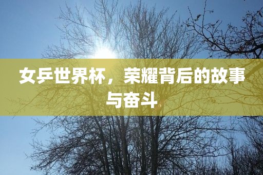 女乒世界杯，荣耀背后的故事与奋斗