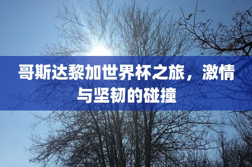 哥斯达黎加世界杯之旅，激情与坚韧的碰撞