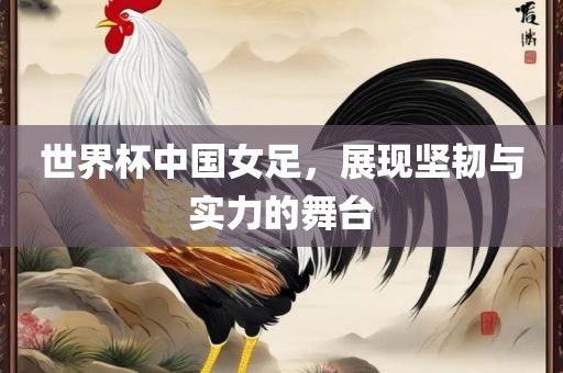 世界杯中国女足，展现坚韧与实力的舞台