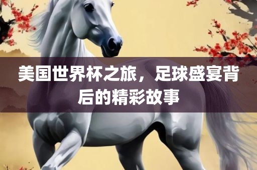 美国世界杯之旅，足球盛宴背后的精彩故事
