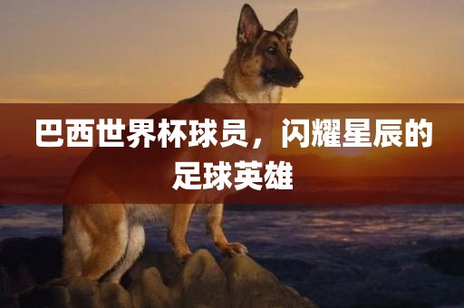 巴西世界杯球员，闪耀星辰的足球英雄