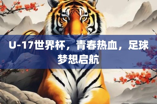 U-17世界杯，青春热血，足球梦想启航