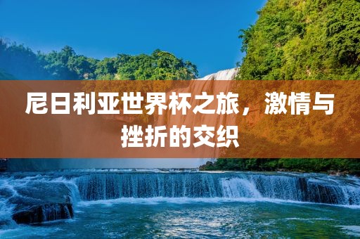 尼日利亚世界杯之旅，激情与挫折的交织