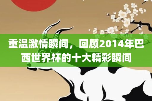 重温激情瞬间，回顾2014年巴西世界杯的十大精彩瞬间