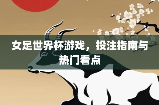 女足世界杯游戏，投注指南与热门看点