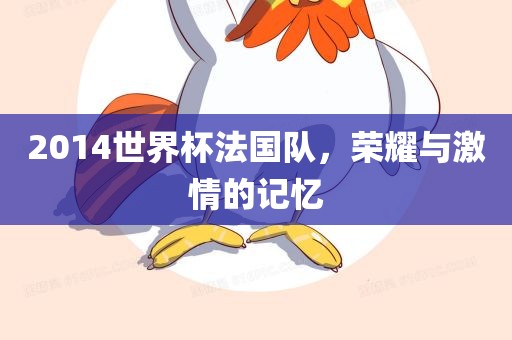 2014世界杯法国队，荣耀与激情的记忆