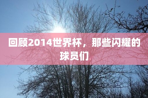 回顾2014世界杯，那些闪耀的球员们