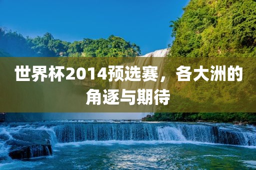 世界杯2014预选赛，各大洲的角逐与期待