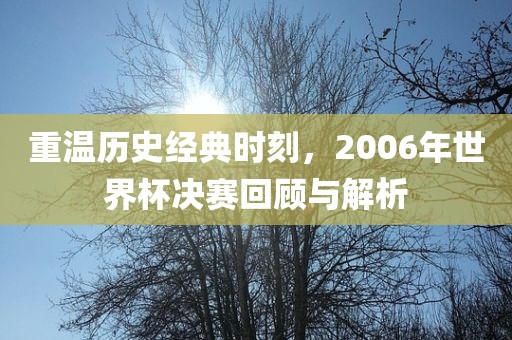 重温历史经典时刻，2006年世界杯决赛回顾与解析