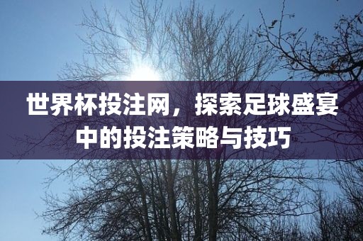 世界杯投注网，探索足球盛宴中的投注策略与技巧