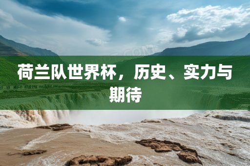 荷兰队世界杯，历史、实力与期待