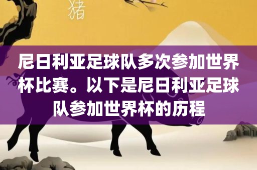 尼日利亚足球队多次参加世界杯比赛。以下是尼日利亚足球队参加世界杯的历程