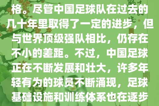 在迄今为止的世界杯足球比赛中，中国队并未获得过参赛资格。尽管中国足球队在过去的几十年里取得了一定的进步，但与世界顶级强队相比，仍存在不小的差距。不过，中国足球正在不断发展和壮大，许多年轻有为的球员不断涌现，足球基础设施和训练体系也在逐步完善。因此，未来中国队仍有可能进入世界杯。