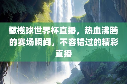 橄榄球世界杯直播，热血沸腾的赛场瞬间，不容错过的精彩直播