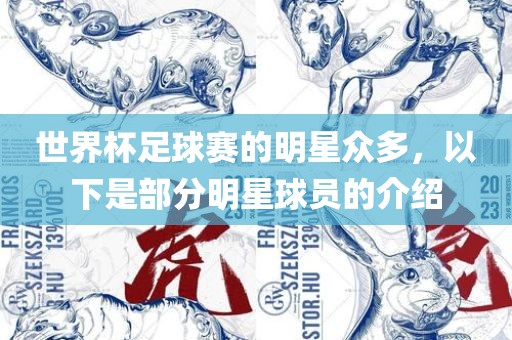世界杯足球赛的明星众多，以下是部分明星球员的介绍