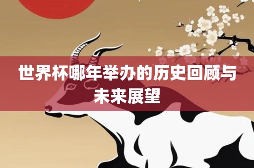 世界杯哪年举办的历史回顾与未来展望