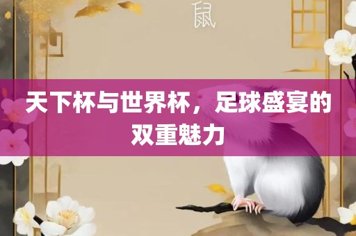 天下杯与世界杯，足球盛宴的双重魅力