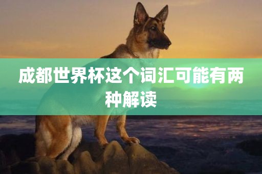 成都世界杯这个词汇可能有两种解读