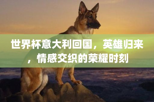 世界杯意大利回国，英雄归来，情感交织的荣耀时刻