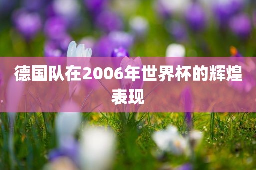 德国队在2006年世界杯的辉煌表现