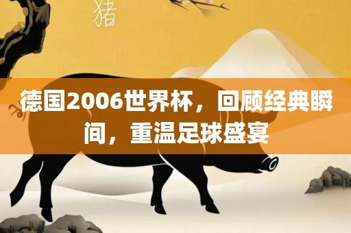 德国2006世界杯，回顾经典瞬间，重温足球盛宴