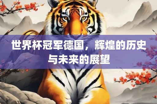 世界杯冠军德国，辉煌的历史与未来的展望