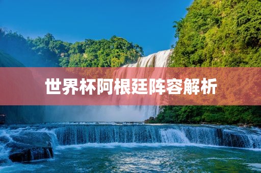 世界杯阿根廷阵容解析