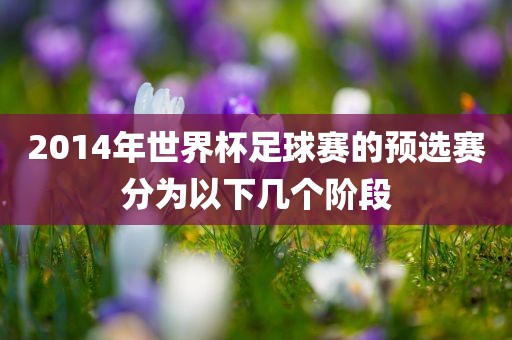 2014年世界杯足球赛的预选赛分为以下几个阶段