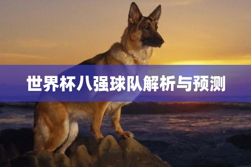 世界杯八强球队解析与预测