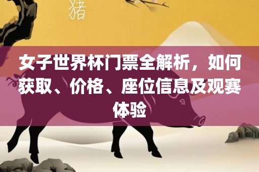 女子世界杯门票全解析，如何获取、价格、座位信息及观赛体验