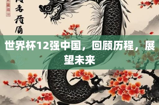 世界杯12强中国，回顾历程，展望未来