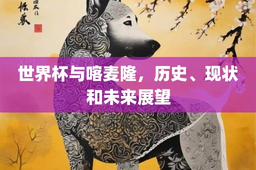世界杯与喀麦隆，历史、现状和未来展望