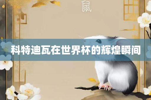 科特迪瓦在世界杯的辉煌瞬间