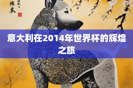 意大利在2014年世界杯的辉煌之旅