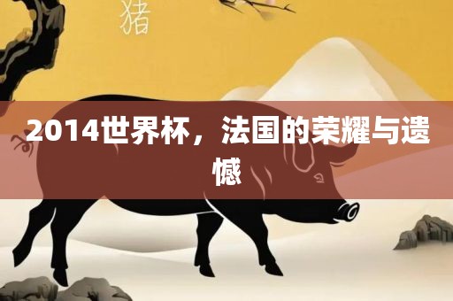 2014世界杯，法国的荣耀与遗憾