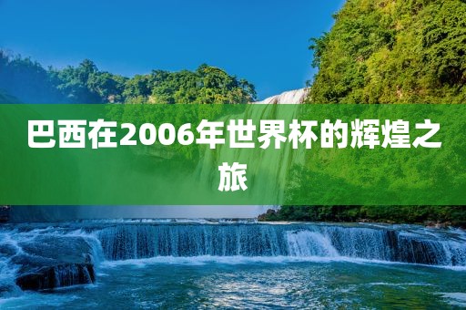 巴西在2006年世界杯的辉煌之旅