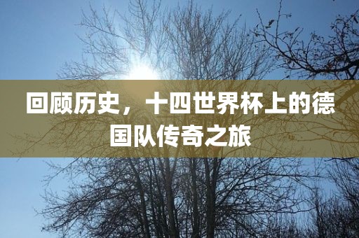 回顾历史，十四世界杯上的德国队传奇之旅