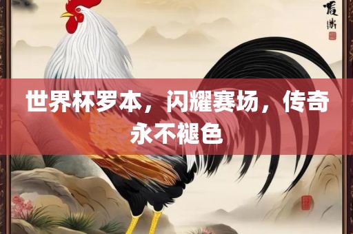 世界杯罗本，闪耀赛场，传奇永不褪色