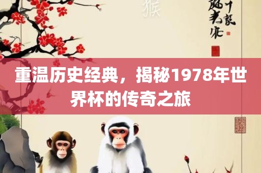重温历史经典，揭秘1978年世界杯的传奇之旅