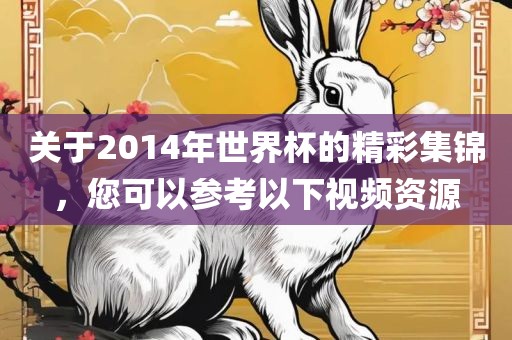 关于2014年世界杯的精彩集锦，您可以参考以下视频资源