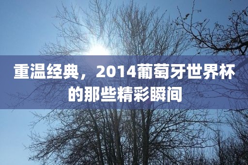 重温经典，2014葡萄牙世界杯的那些精彩瞬间