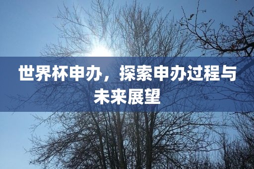 世界杯申办，探索申办过程与未来展望