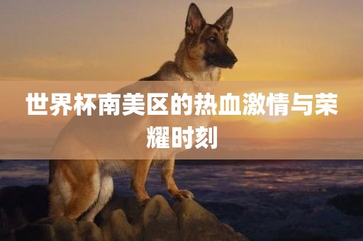 世界杯南美区的热血激情与荣耀时刻