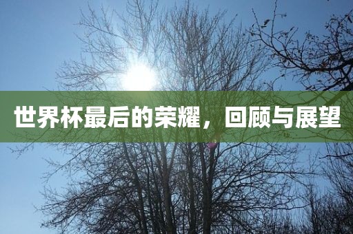 世界杯最后的荣耀，回顾与展望