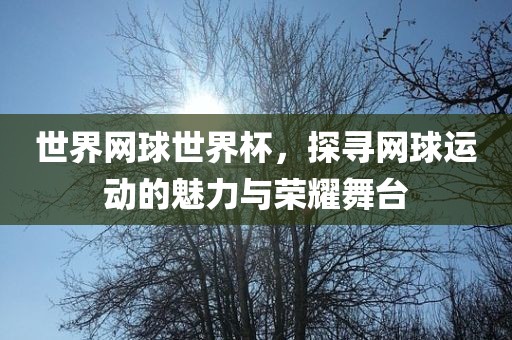 世界网球世界杯，探寻网球运动的魅力与荣耀舞台