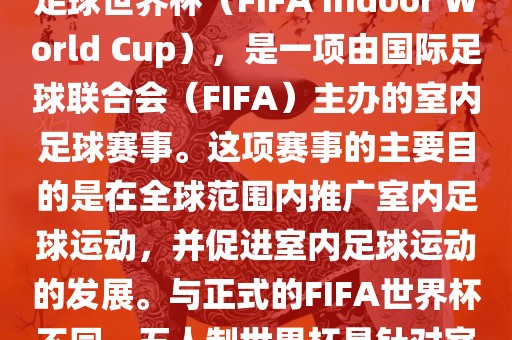 五人制世界杯，也被称为室内足球世界杯（FIFA Indoor World Cup），是一项由国际足球联合会（FIFA）主办的室内足球赛事。这项赛事的主要目的是在全球范围内推广室内足球运动，并促进室内足球运动的发展。与正式的FIFA世界杯不同，五人制世界杯是针对室内足球的比赛。