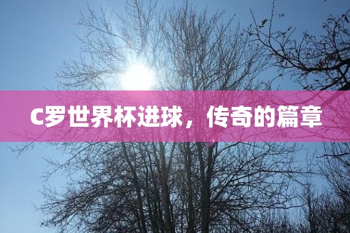 C罗世界杯进球，传奇的篇章